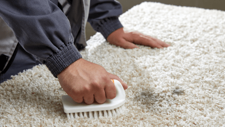 Professional Rug Cleaning Moonee Ponds